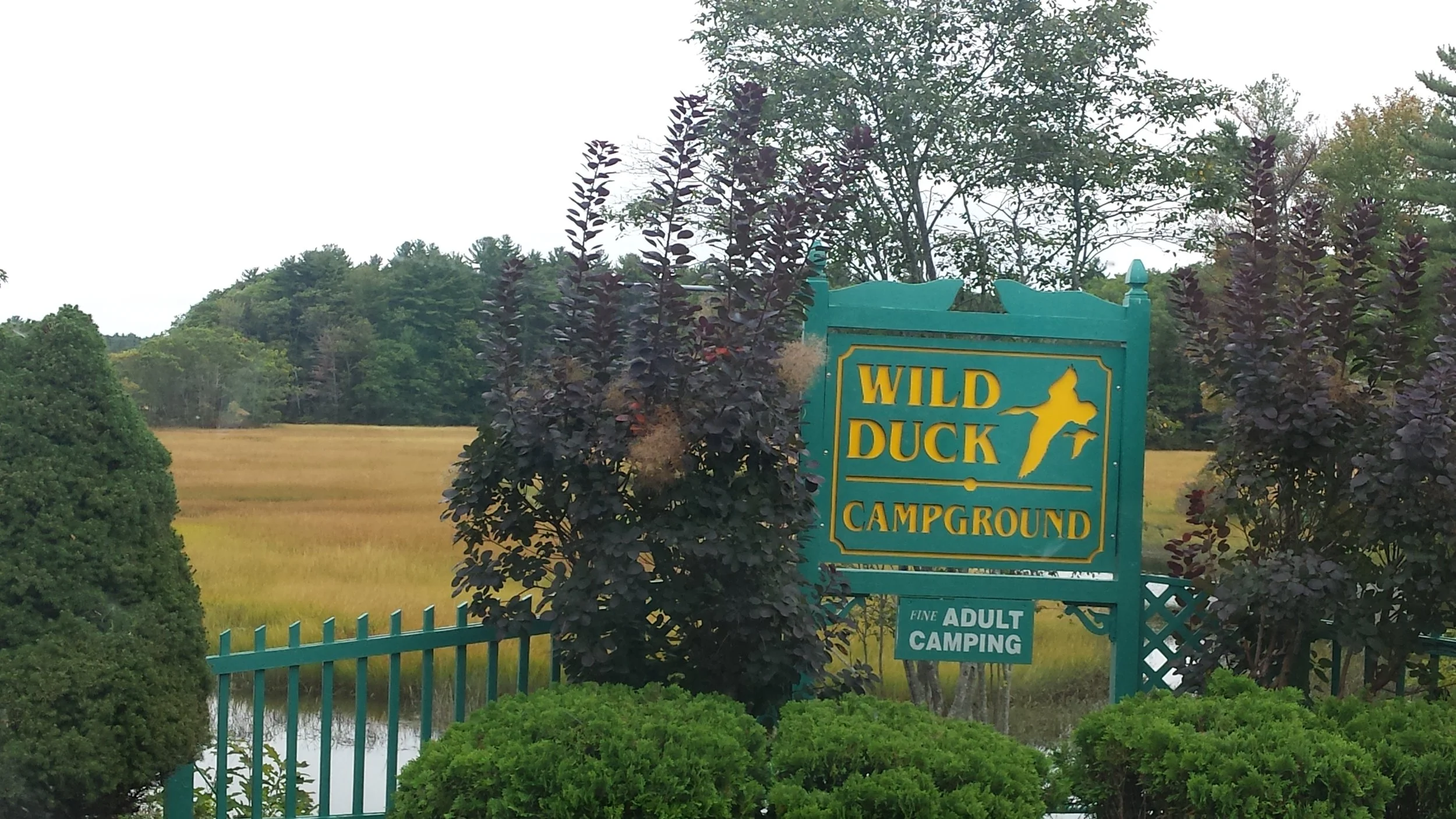 wild-duck-sign.jpg