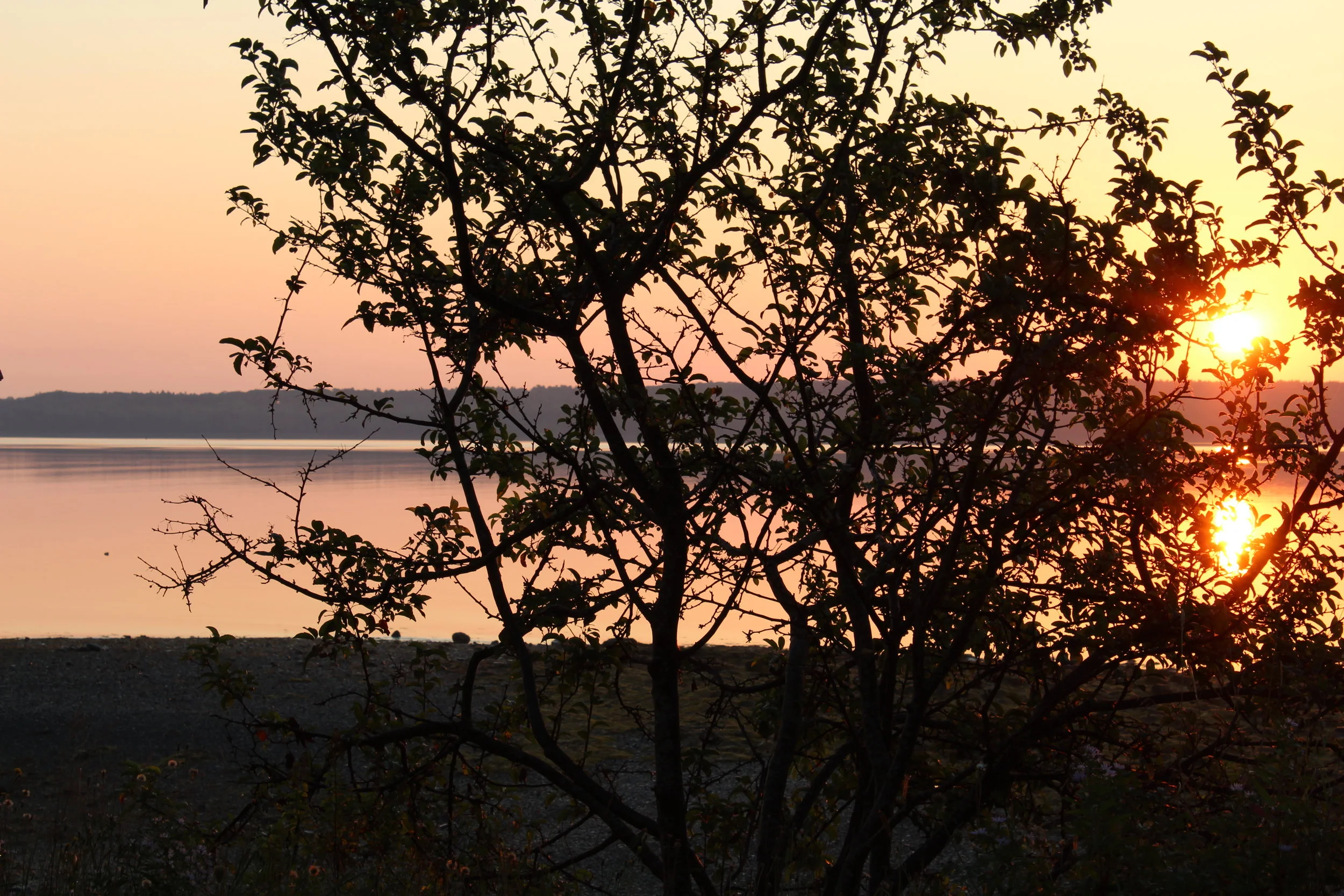 Sunset over the bay