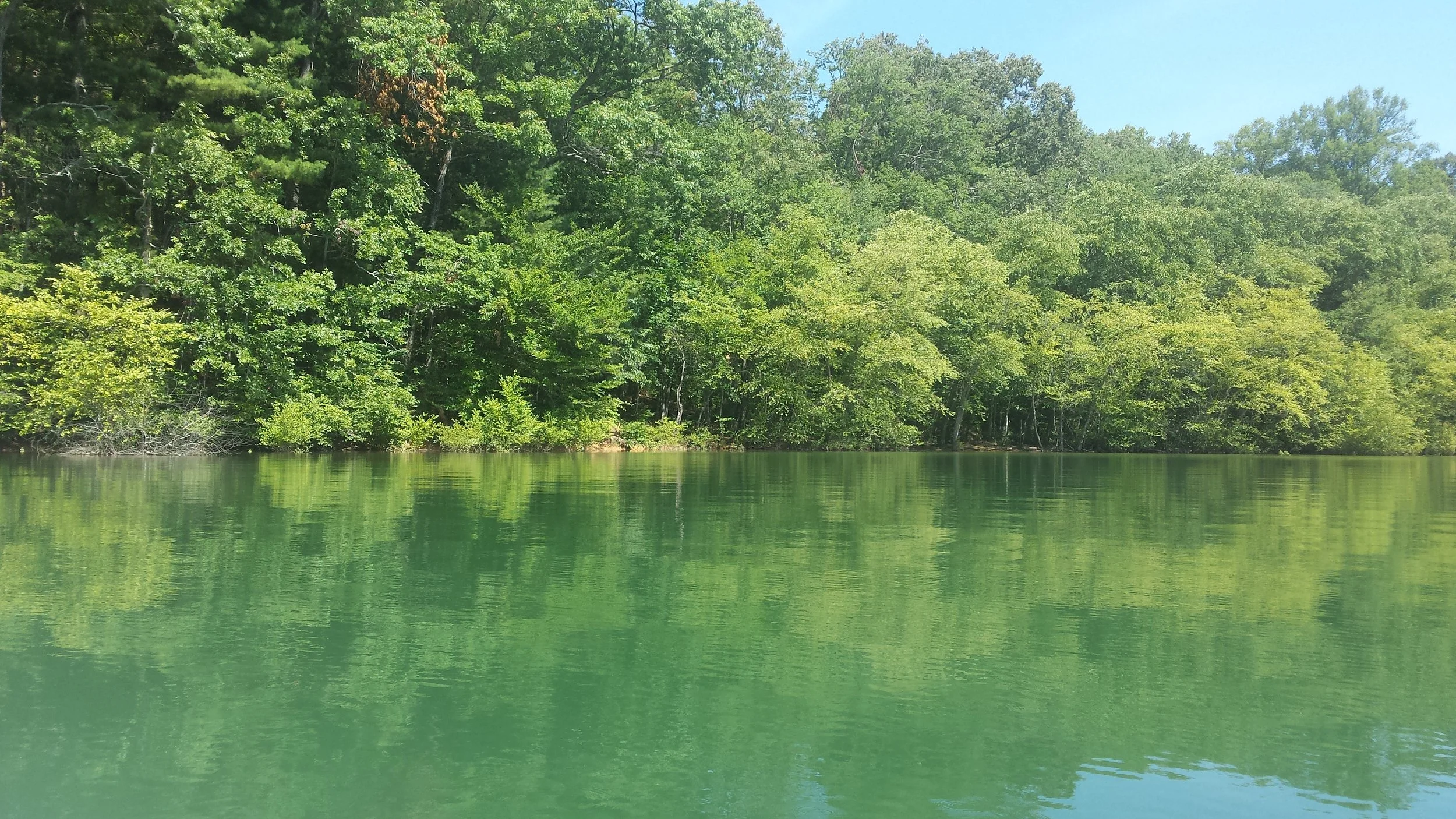 Serene Lake Blue Ridge from my kayak, Blue Ridge, Georgia