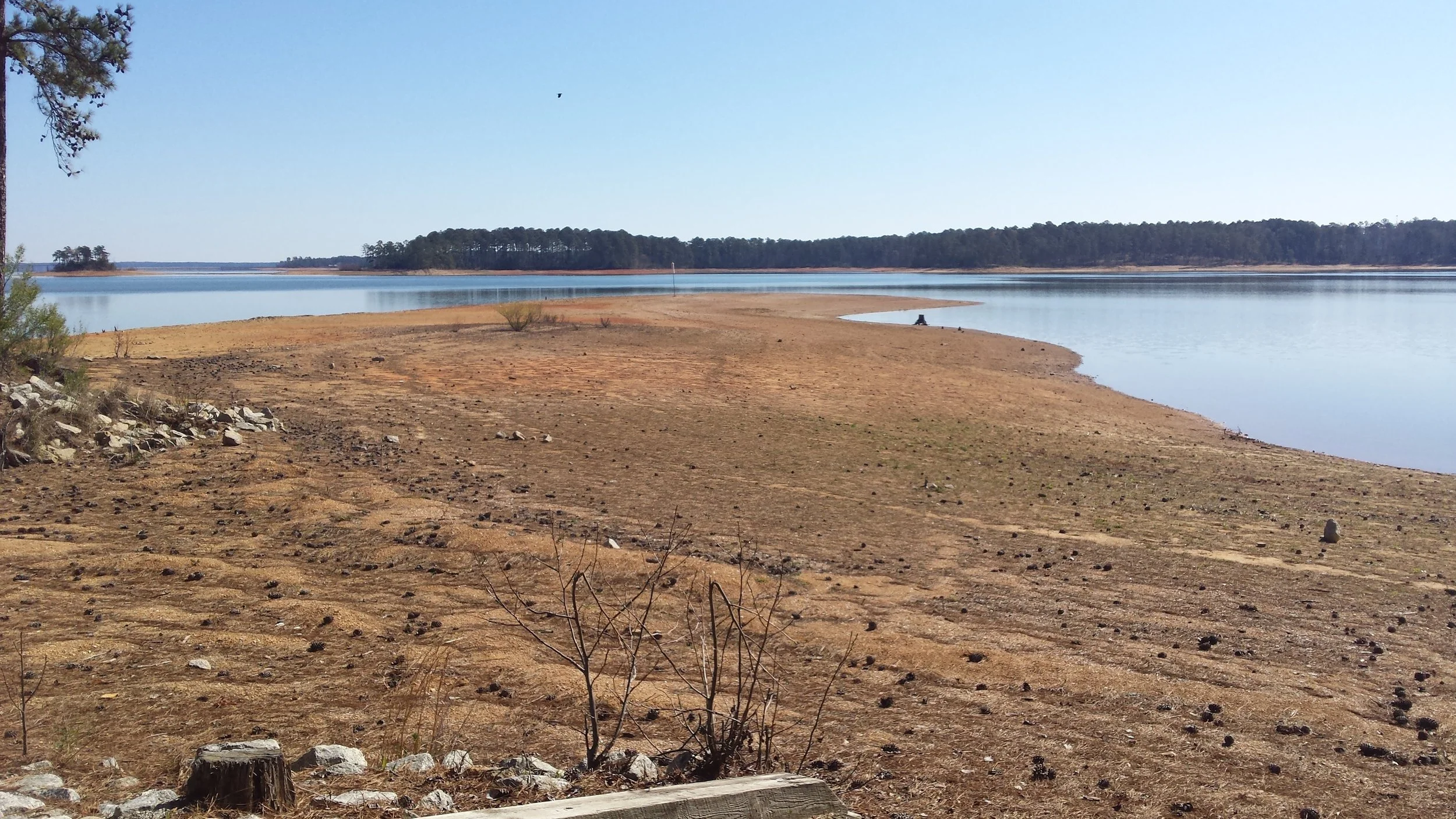 Winter low-water level at Clarks Hill Lake, Appling, Georgia