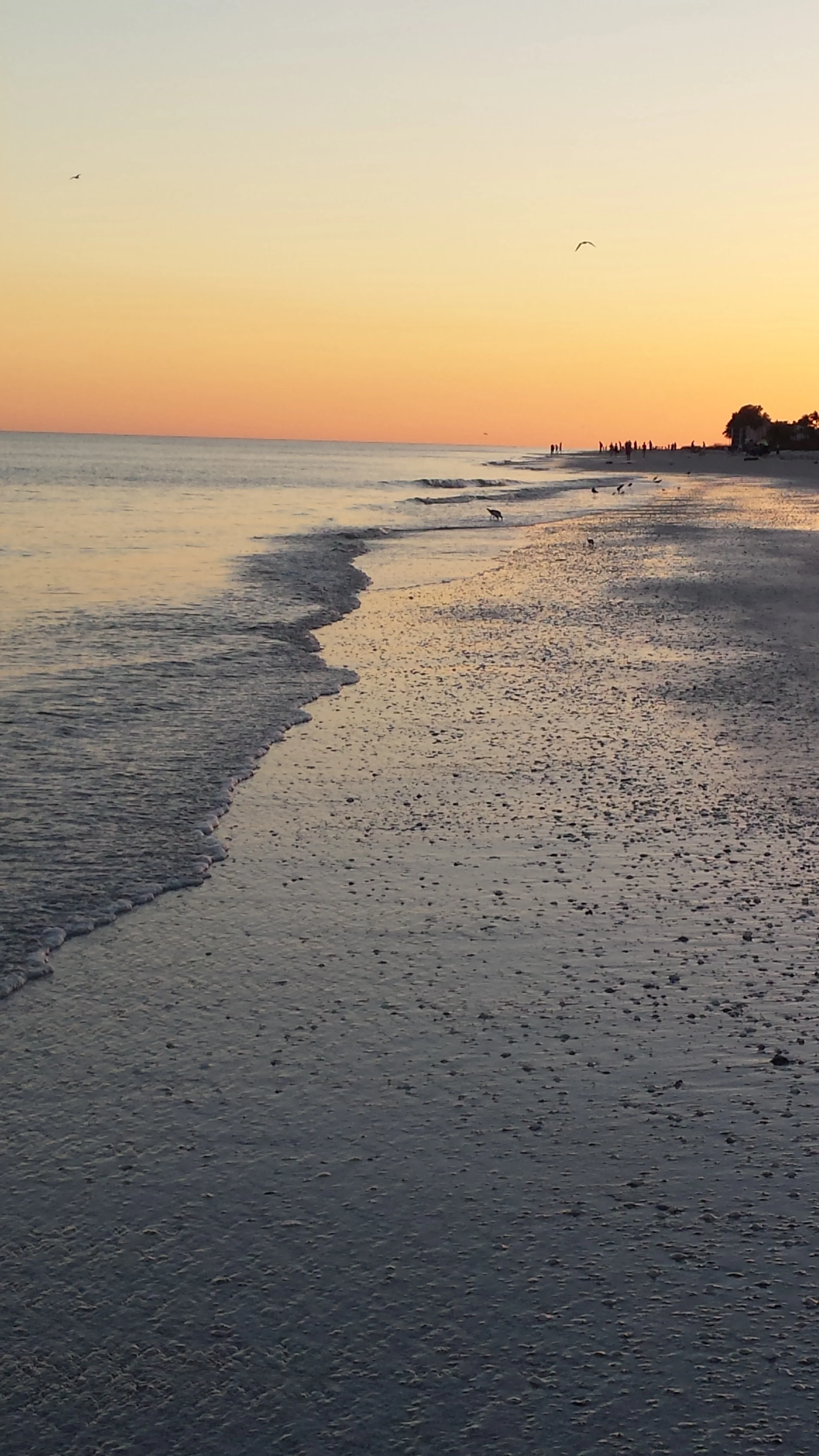 Pastel-colored sunset