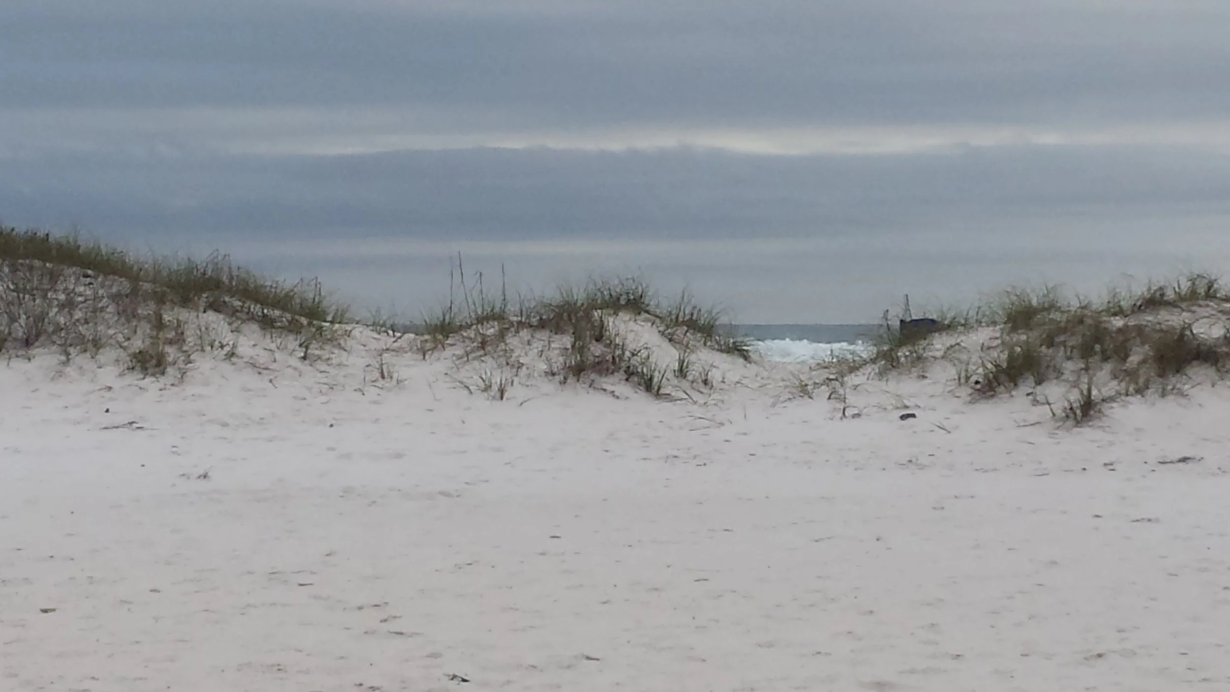 Gulf Islands National Seashore sand dunes