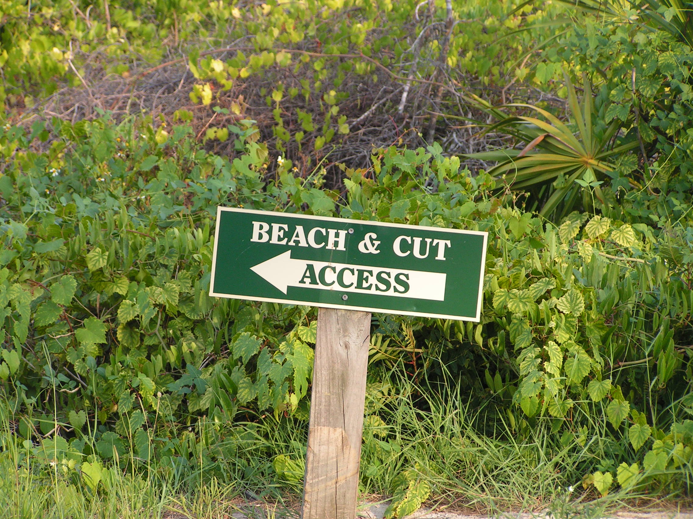 beach-cut-sign.jpg