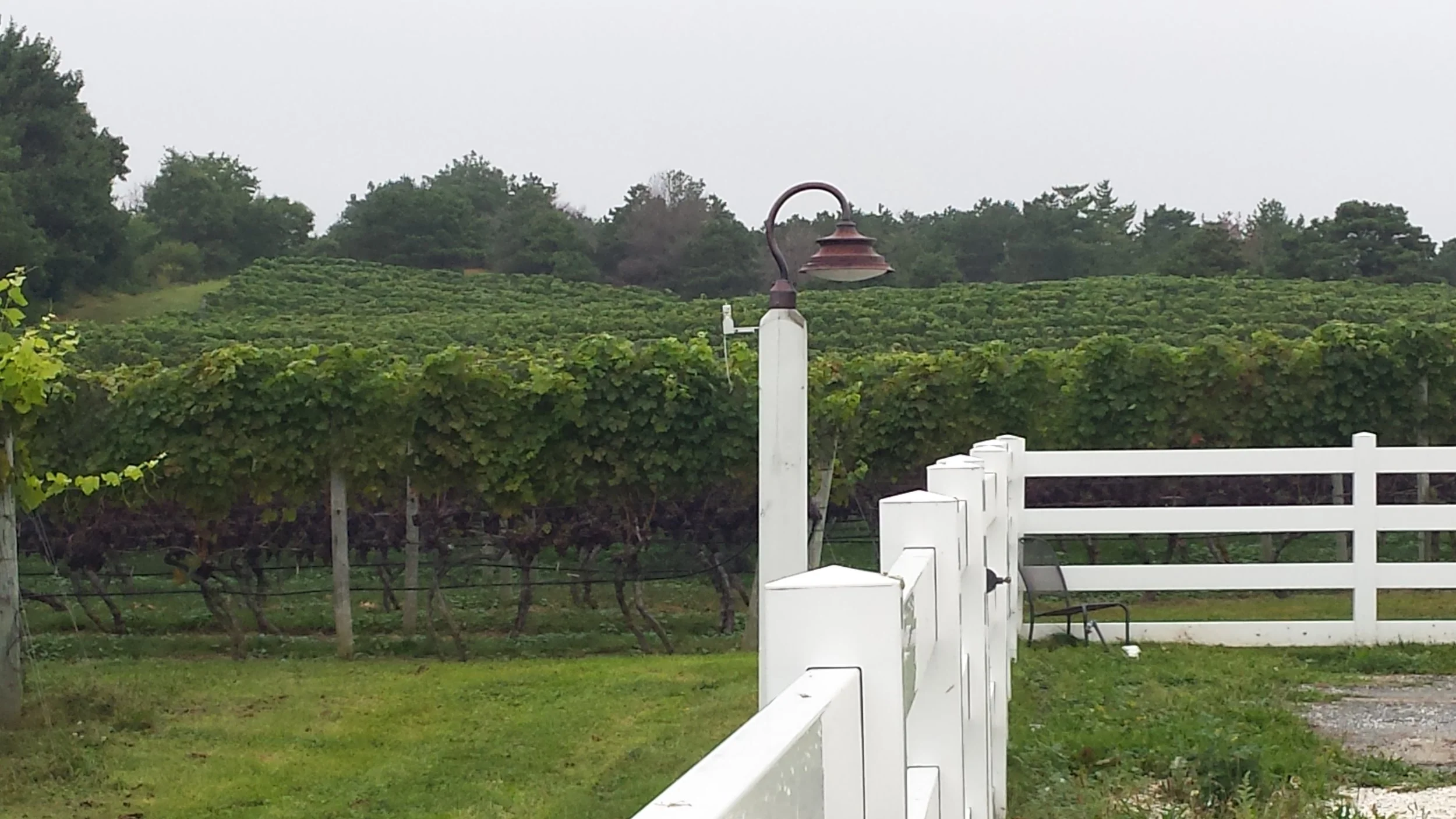 truro-vineyards.jpg