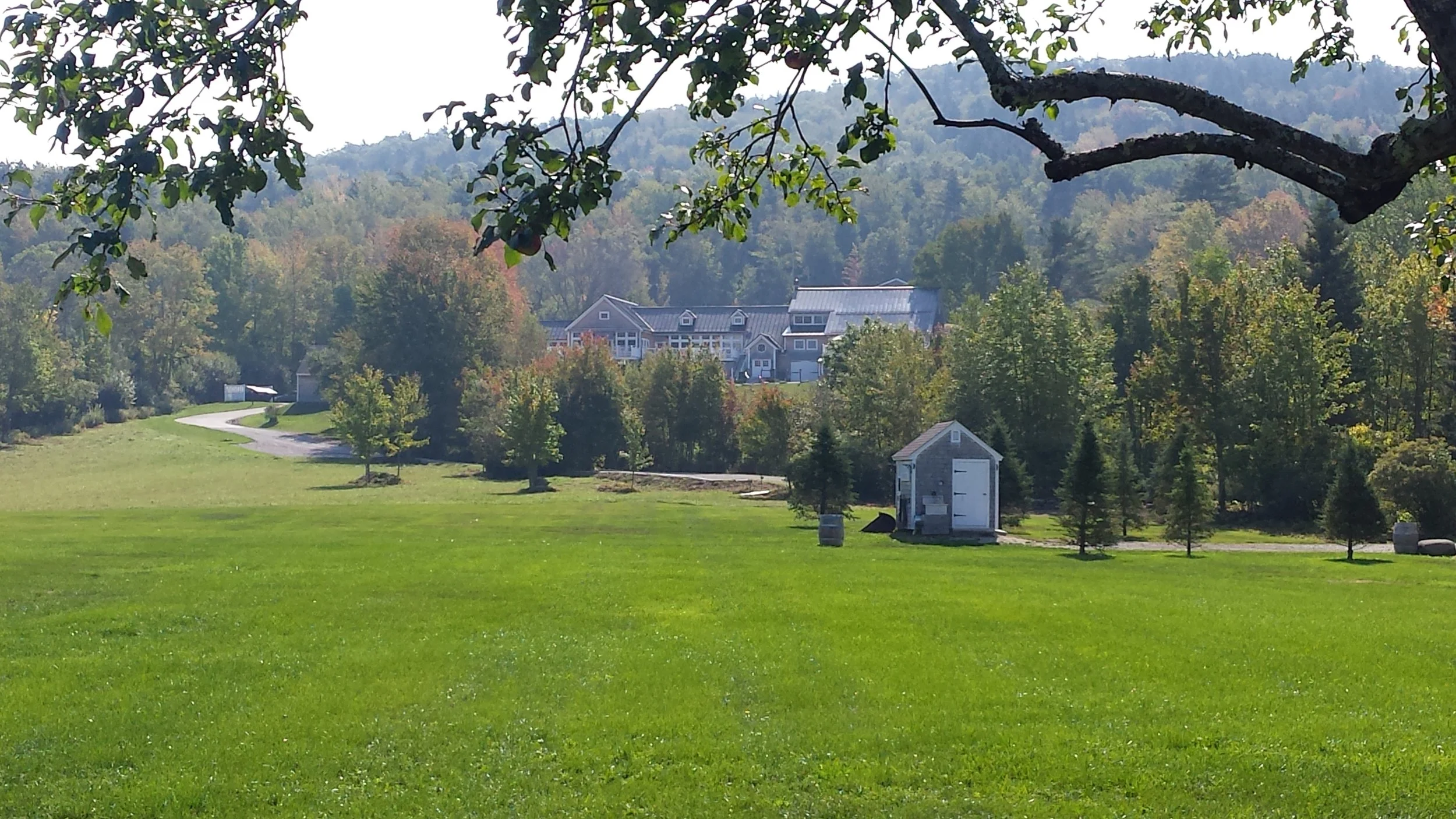 2017-09-25 11.17.50.jpg