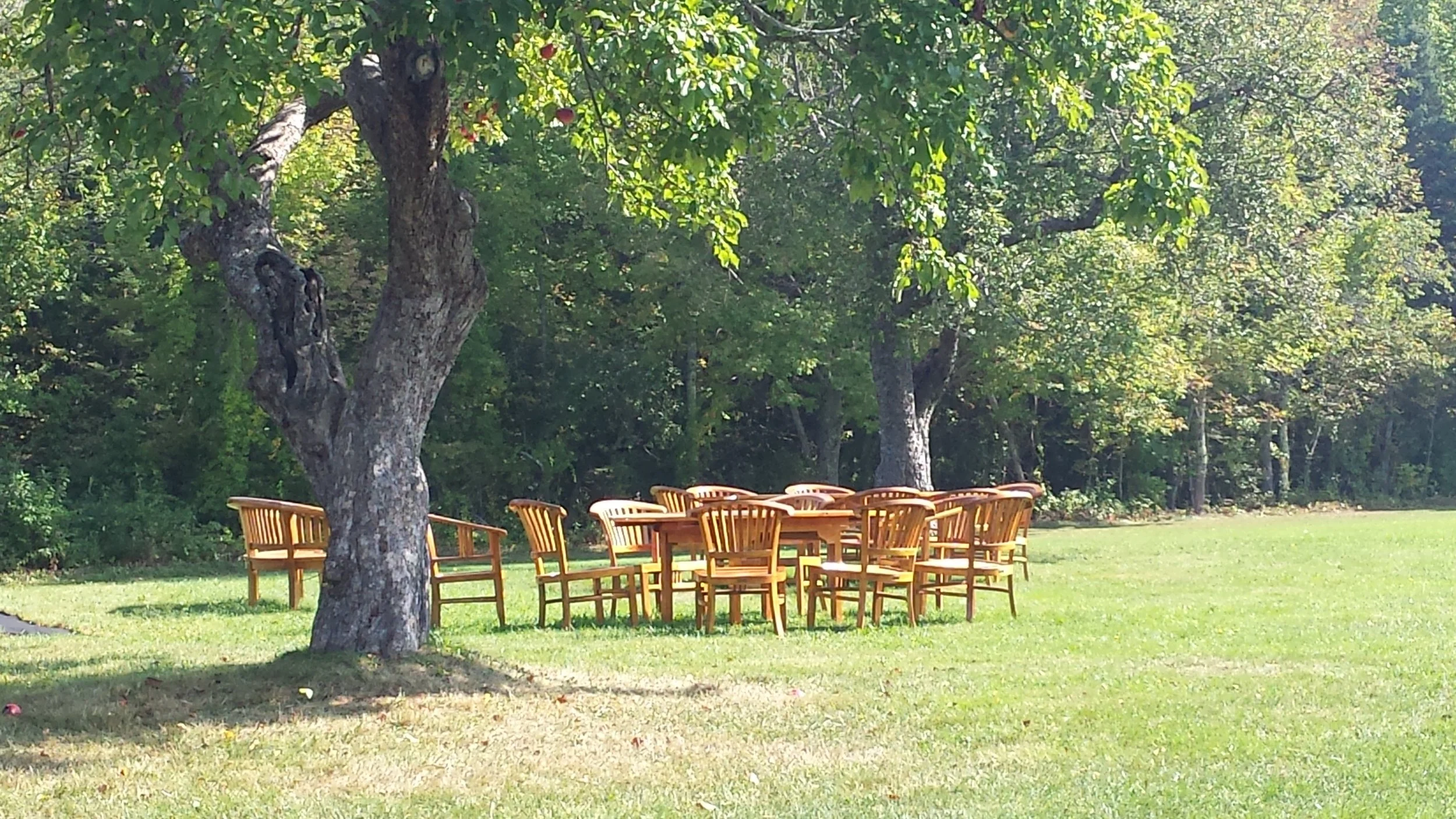 chairs-on-lawn.jpg