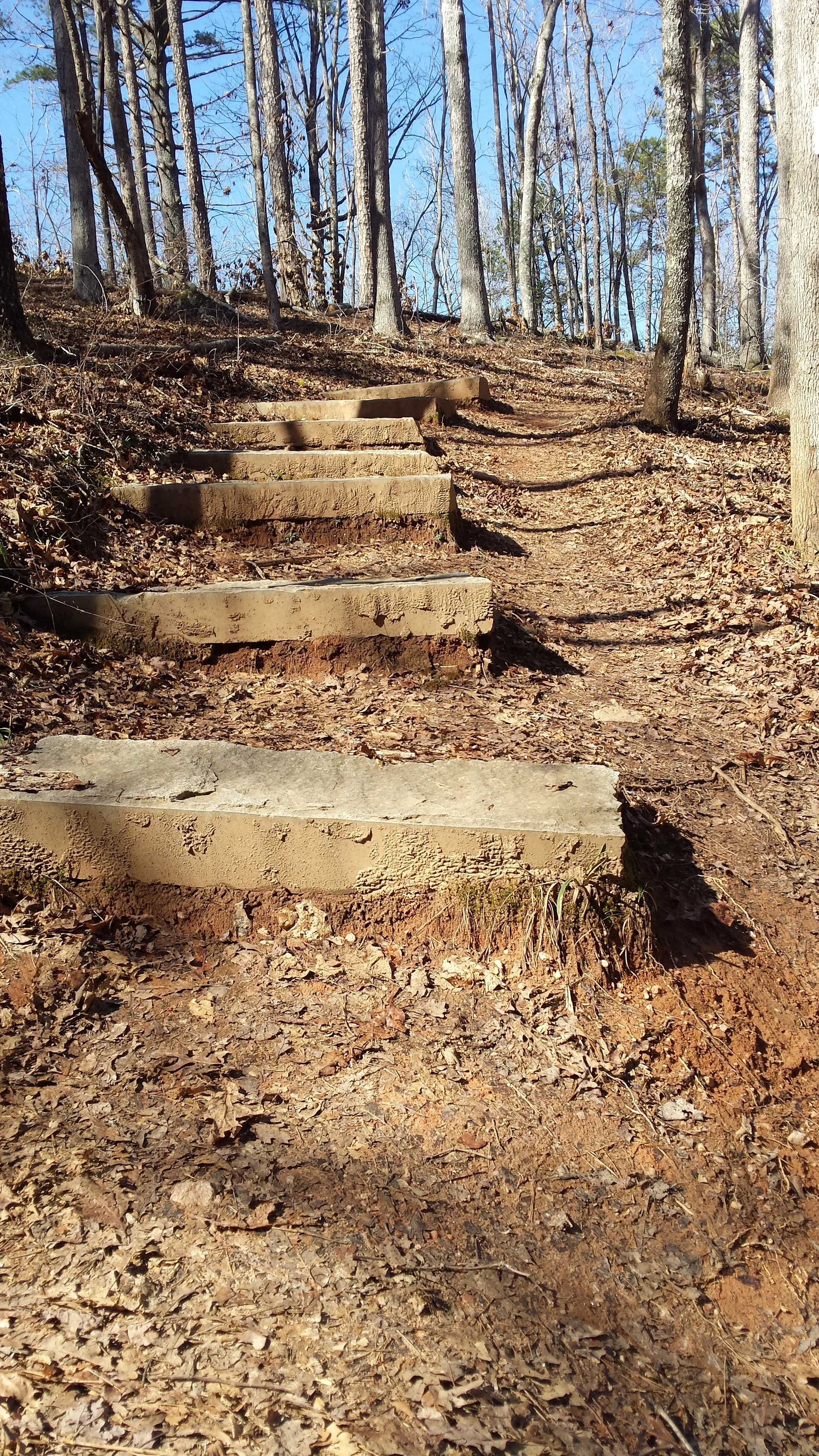Cove Trail between the ranger station and the beach complex
