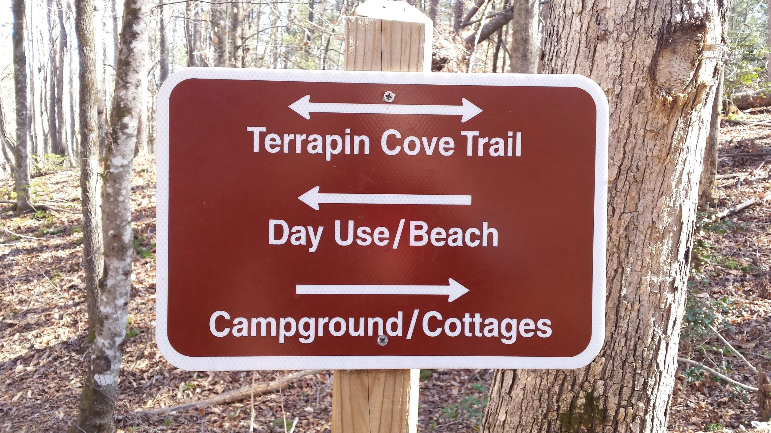 Something for the whole family at Don Carter State Park!