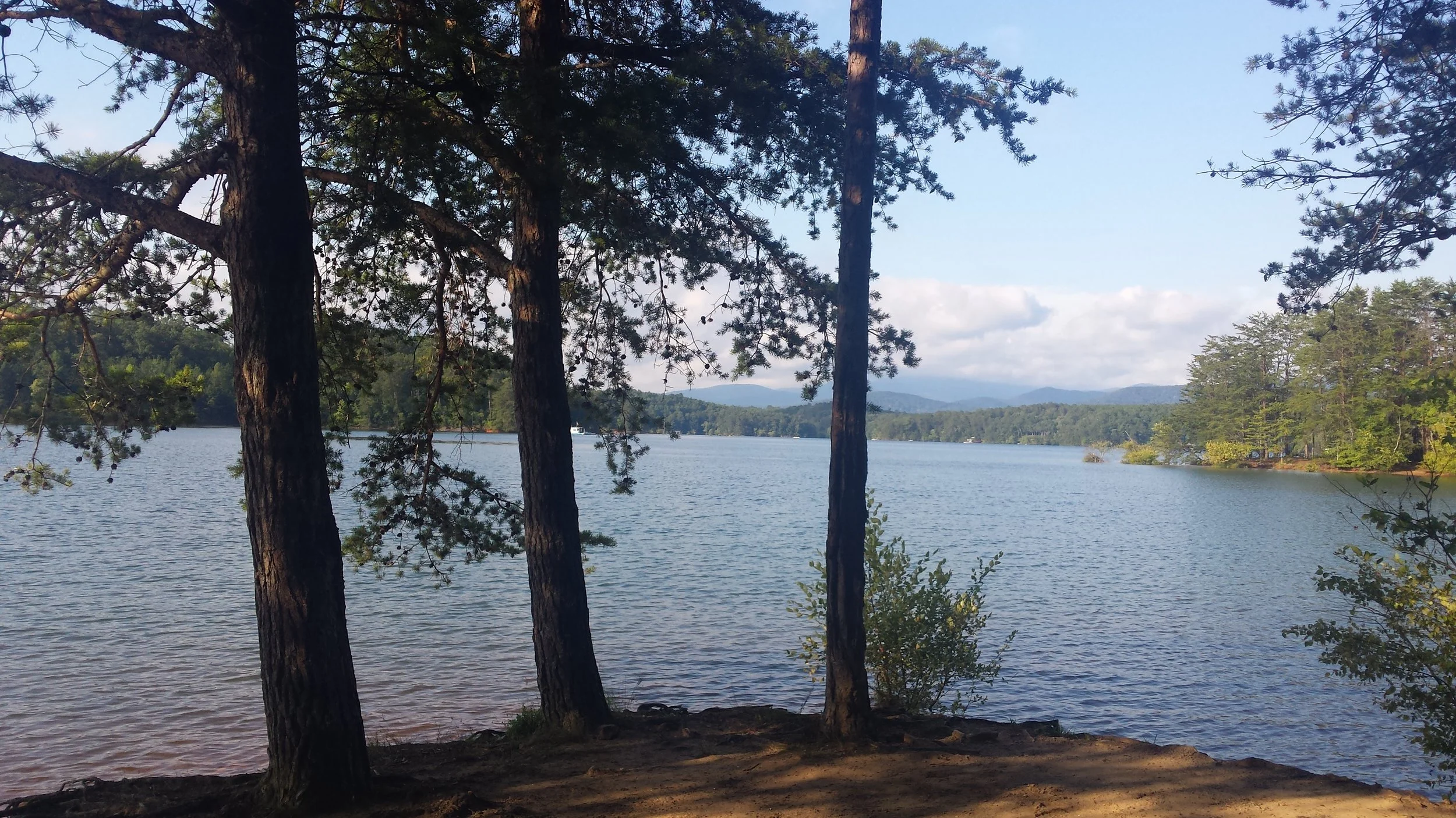 lake-view.jpg