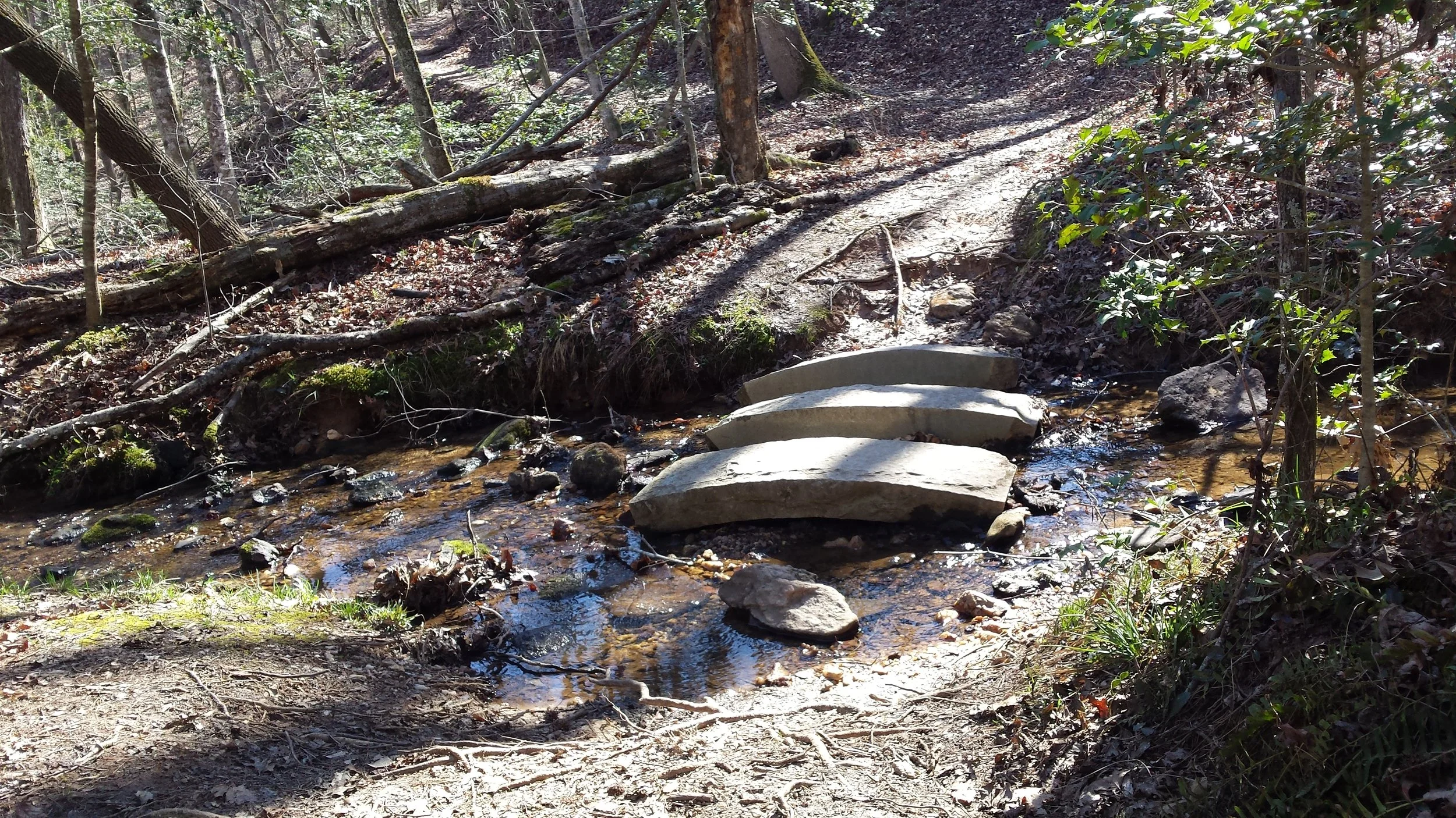 Make sure the trail isn't too challenging!