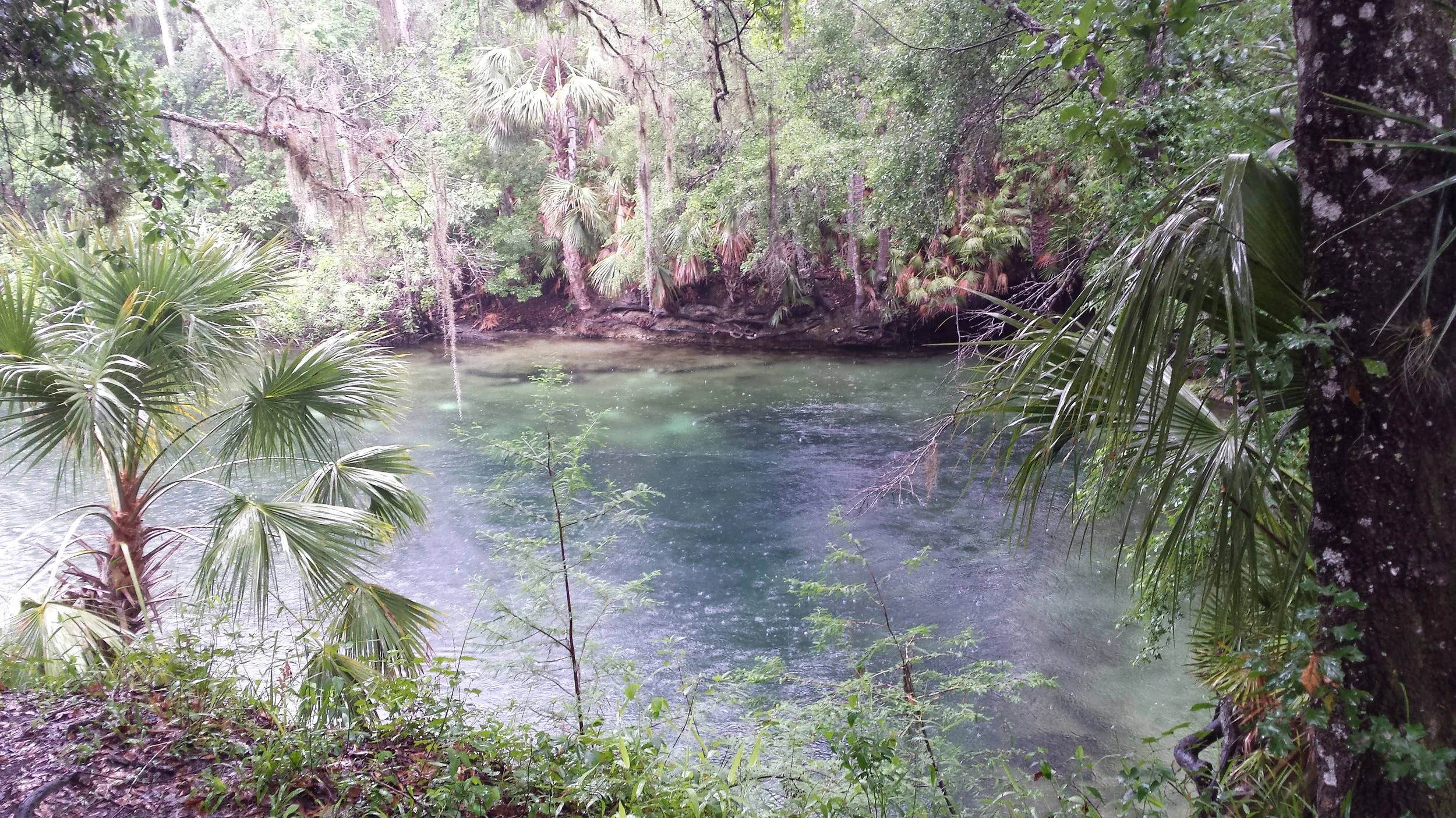 The "boiling" action of water rushing to the surface at Blue Springs