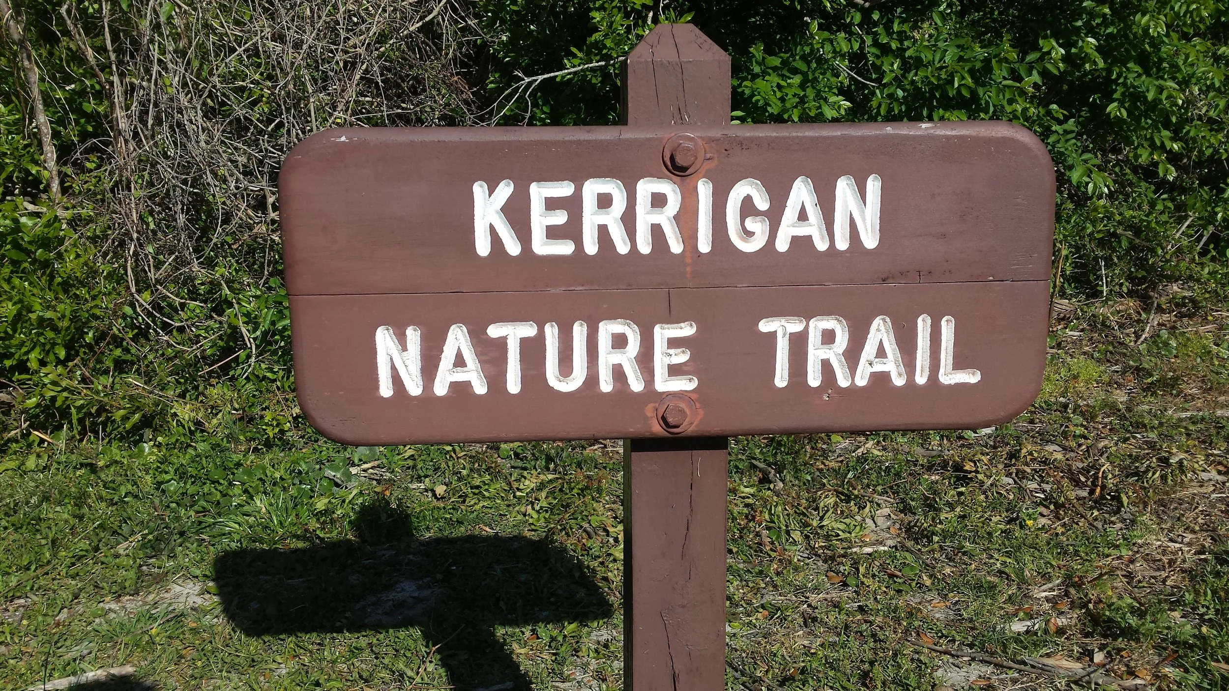 The Kerrigan Nature Trail at Huntington Beach State Park