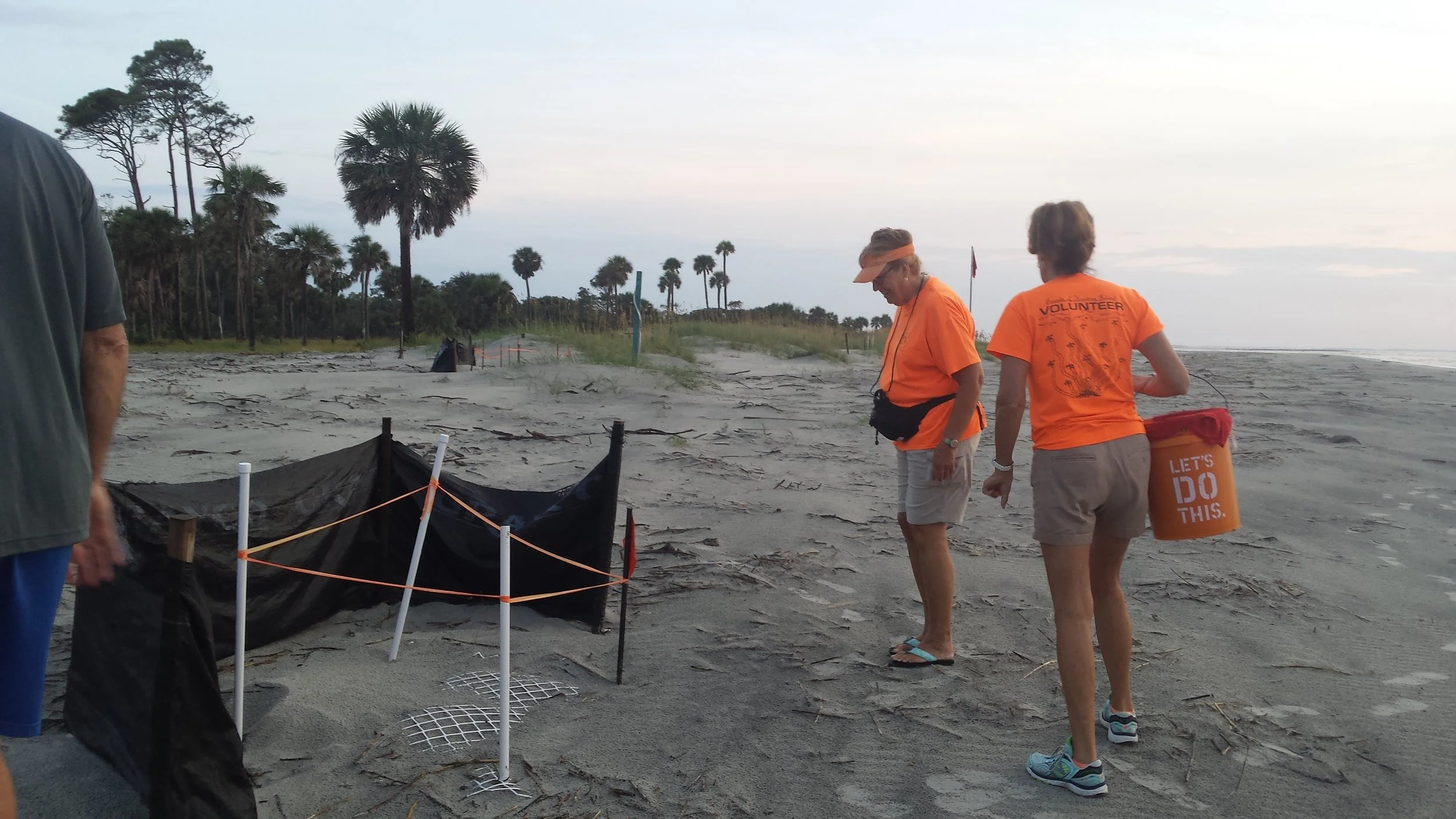 Turtle Patrol at Hunting Island State Park, SC