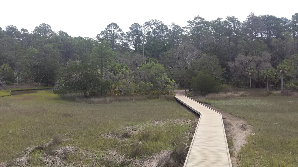 Boardwalk to observation tower