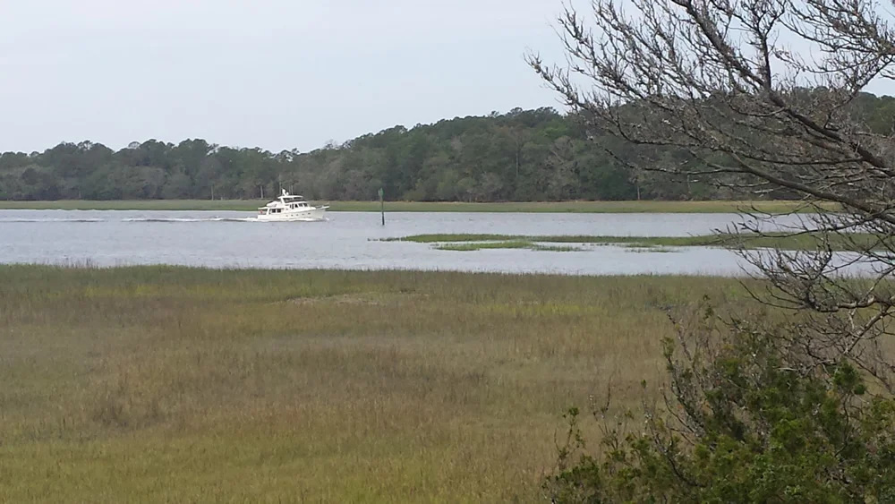 Skidaway Narrows