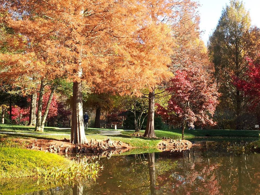 Gibbs Gardens walking paths around the ponds