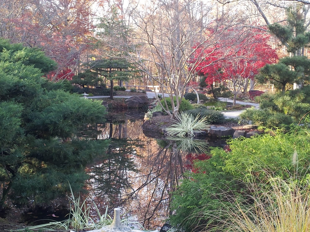 The Japanese gardens
