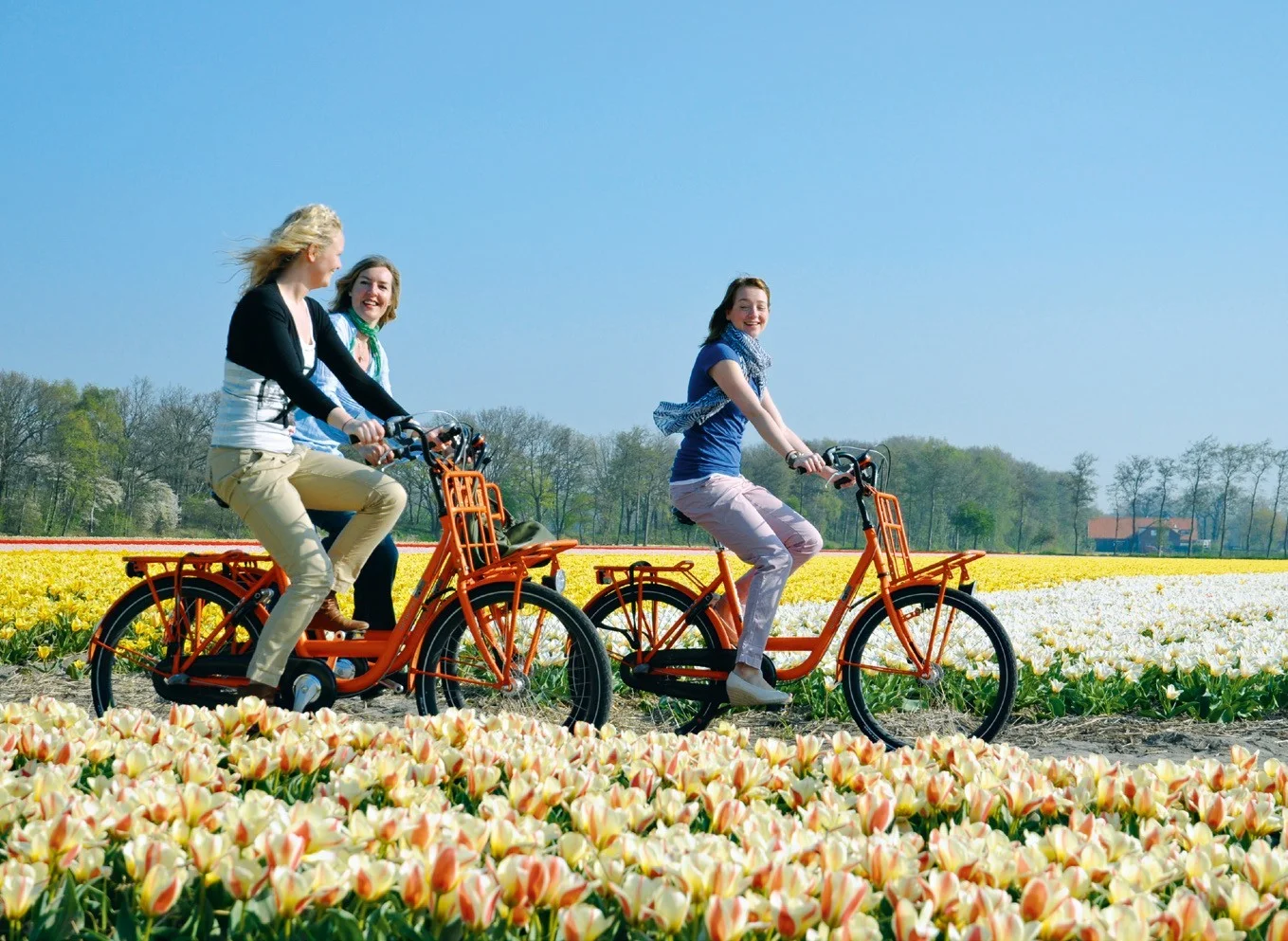 Stadt Strand und Tulpen Tour.jpg