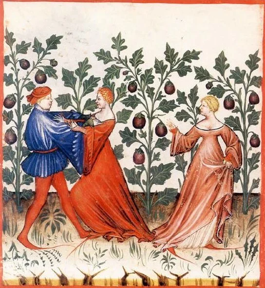“Eggplants and their Aphrodisiacal Effects” Tacuinum Sanitatis , SN2644, folio 31v; 1385–1390.