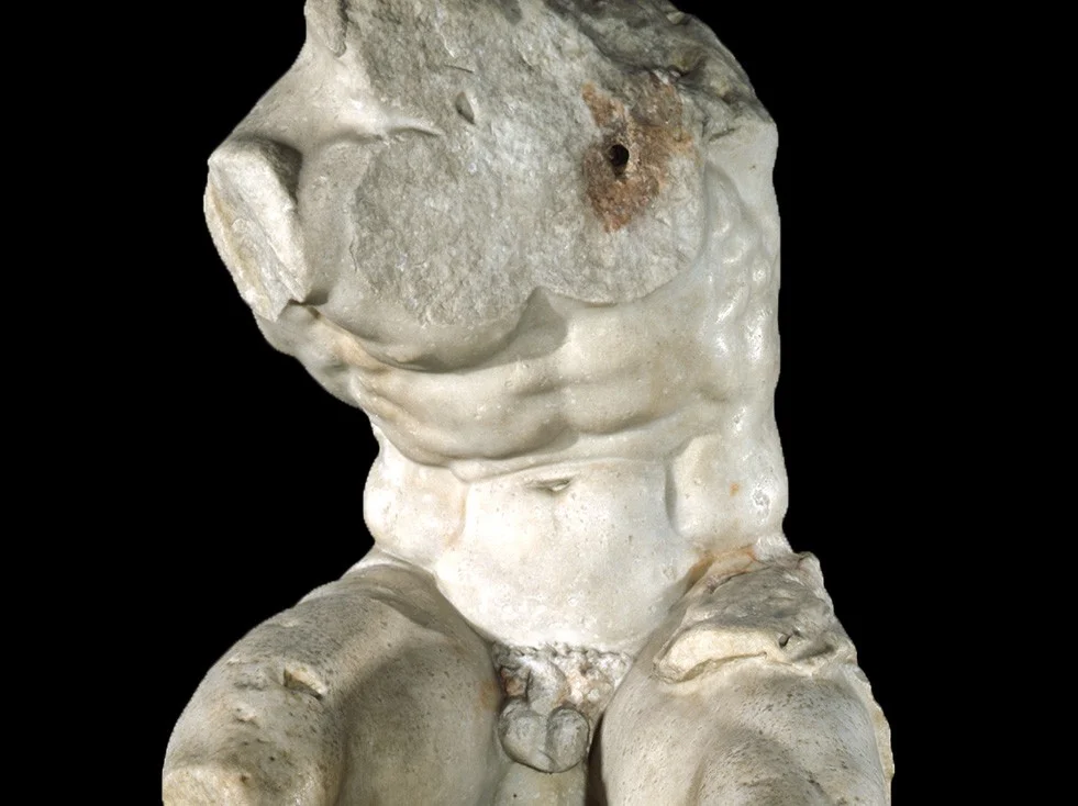 The Belvedere Torso