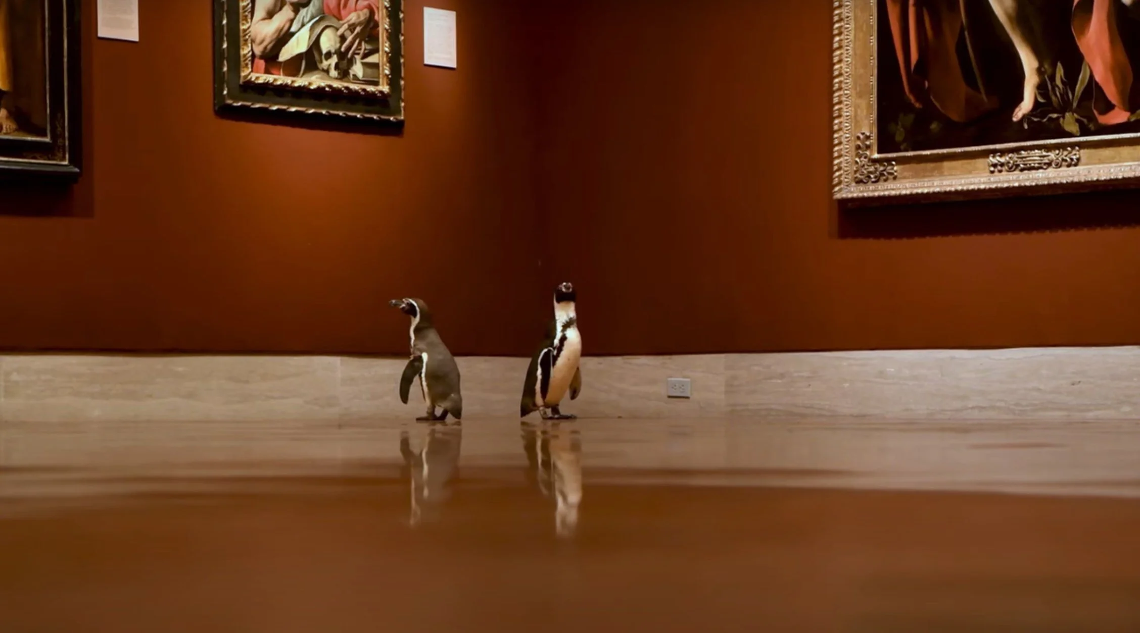 Penguins Run Loose in the Art Museum 
