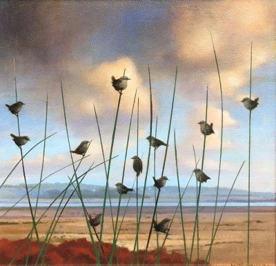 Scottish Fowl: A Bird’s Eye View