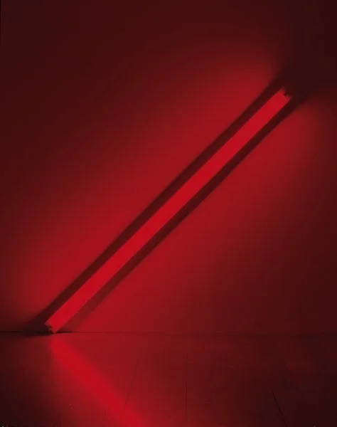 Dan Flavin, 1933-1996
