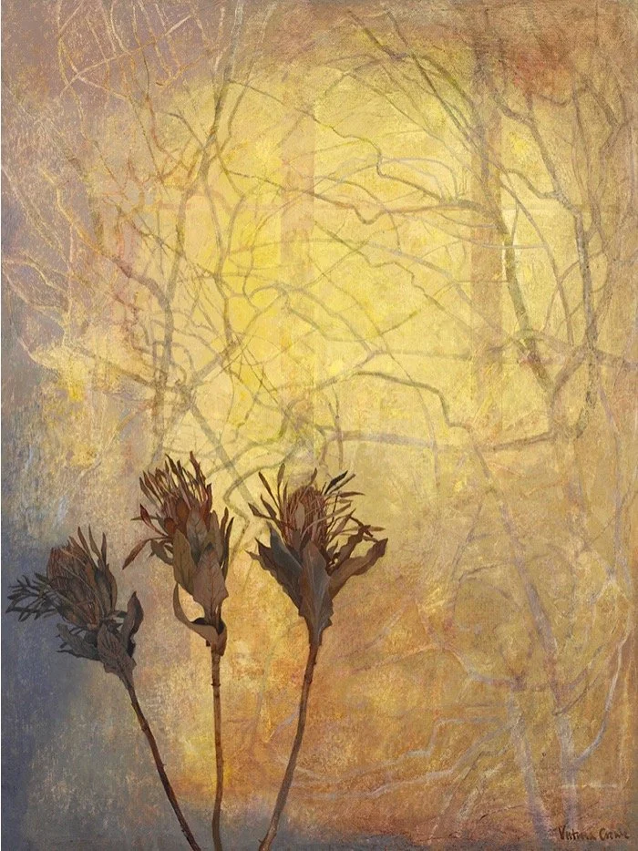 The Thistle: Scotland's Enduring Emblem