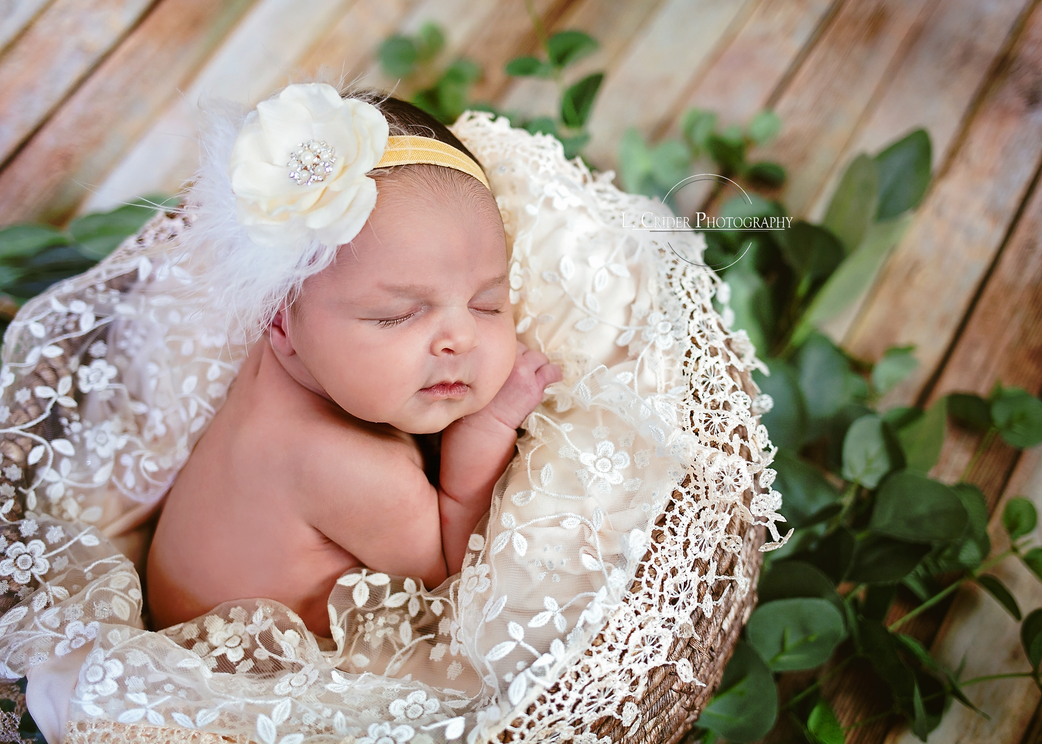 Introducing Sweet Baby Girl C!