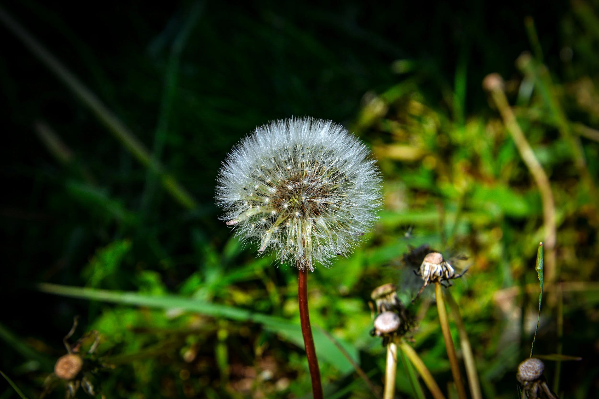 January-February 2026 GAB Gazette