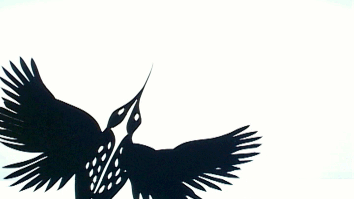 Bird from Plume
