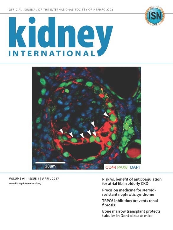 Shankland Lab Research featured on cover of Kidney International