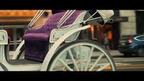 Wedding (Stephanie & Kevin)