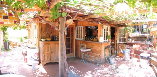 1c (NE) under vines.jpeg