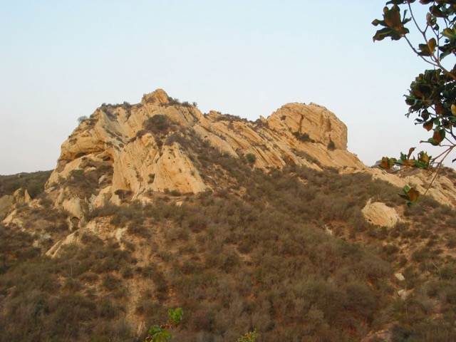IMG_0118.jpeg