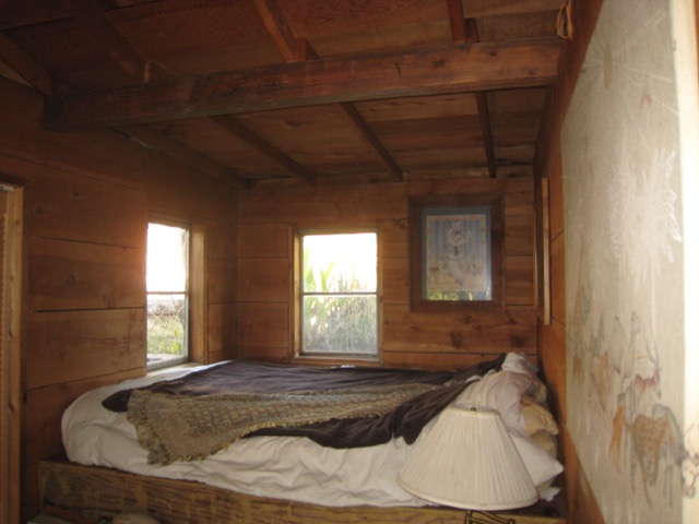 IMG_3145.jpeg