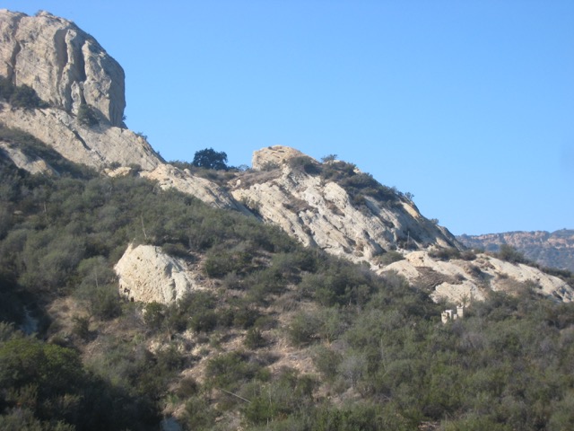 IMG_3177.jpeg
