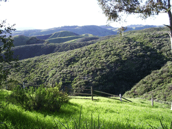 Upper-Las-Virgenes-web_1.gif