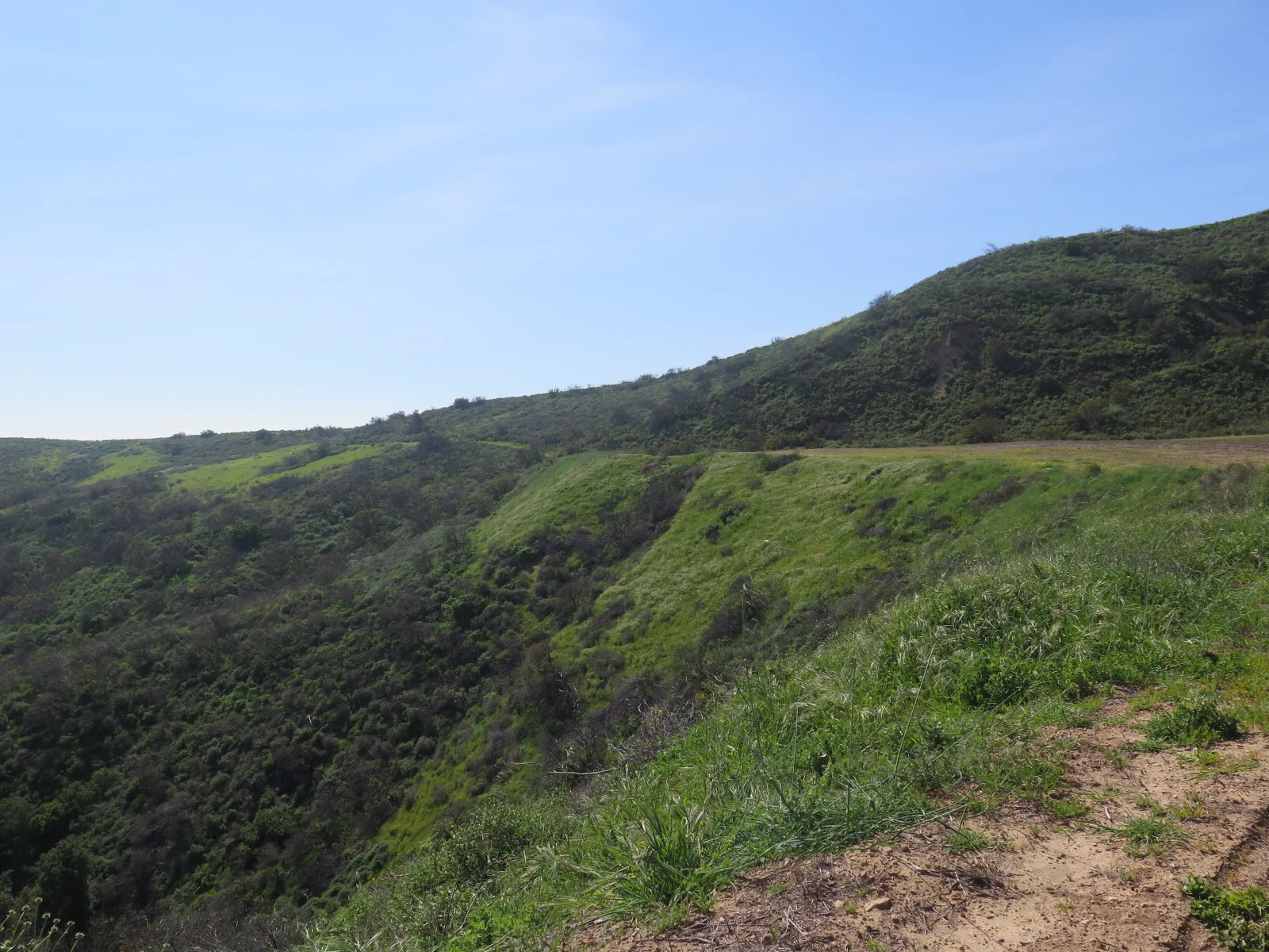 IMG_8270.JPG