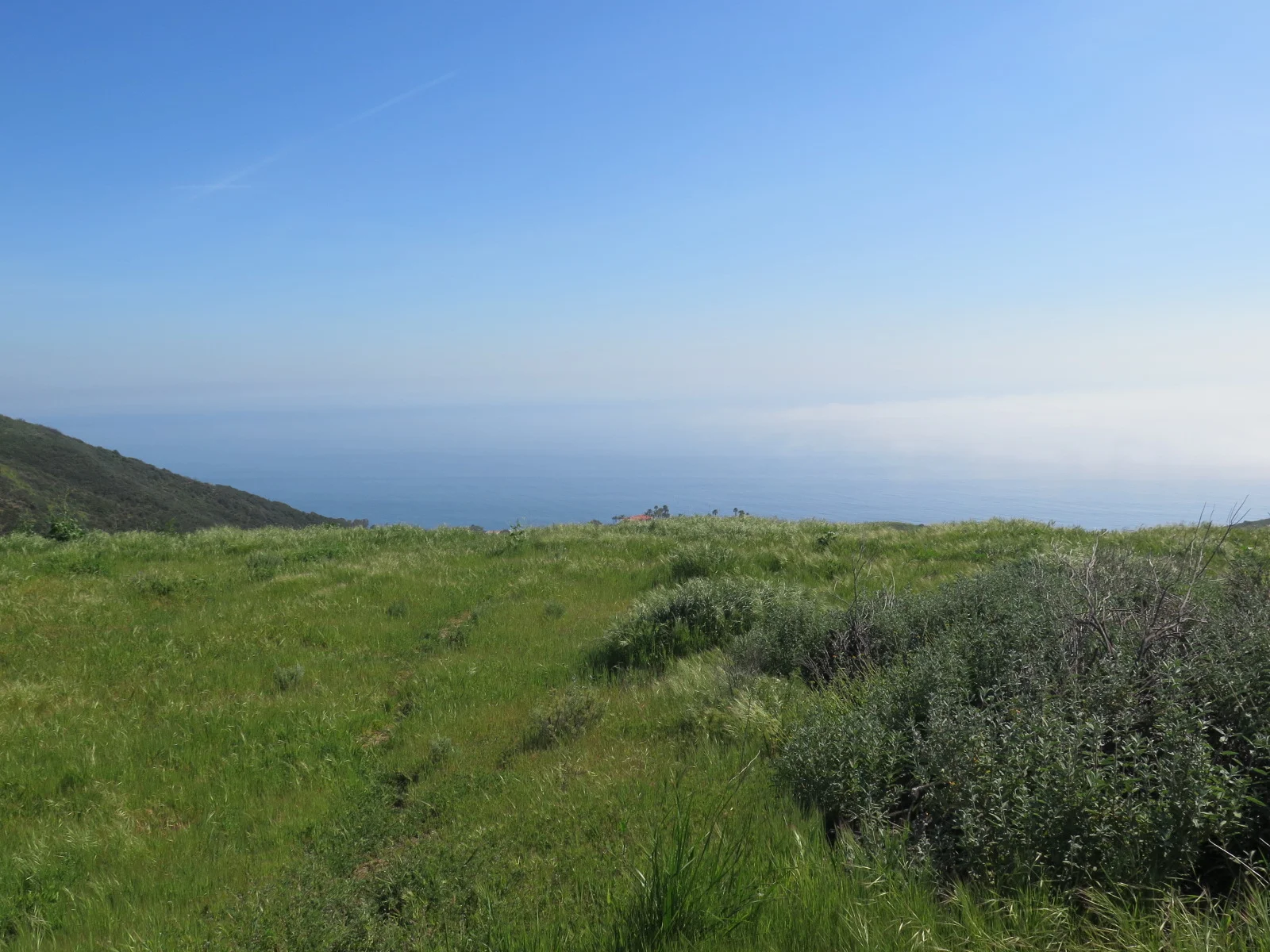 IMG_8472.JPG