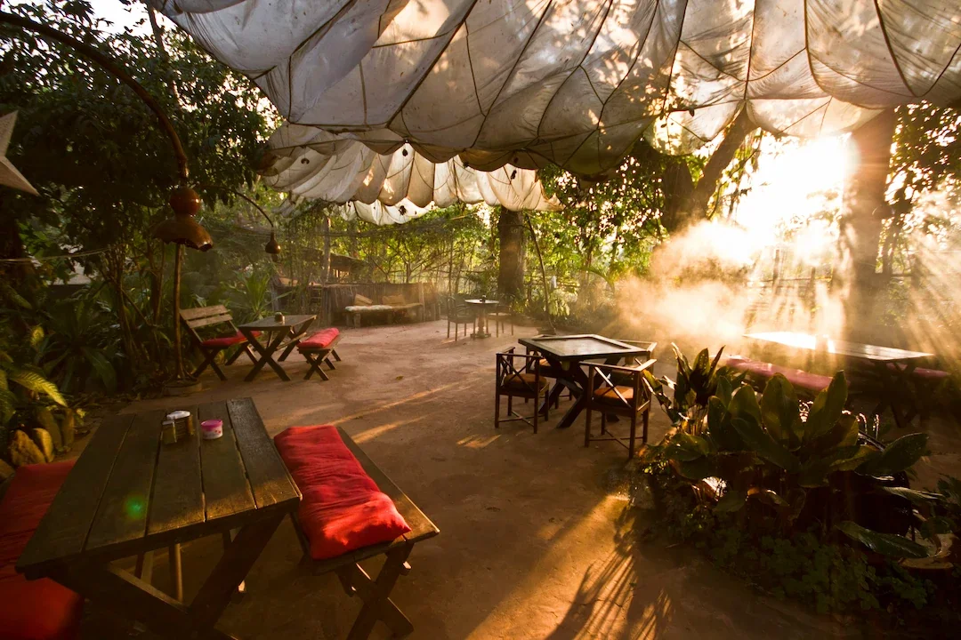 Outdoor seating area with wooden benches and red cushions, bathed in warm sunlight through a leafy canopy, offering a cozy, nature-inspired dining space.