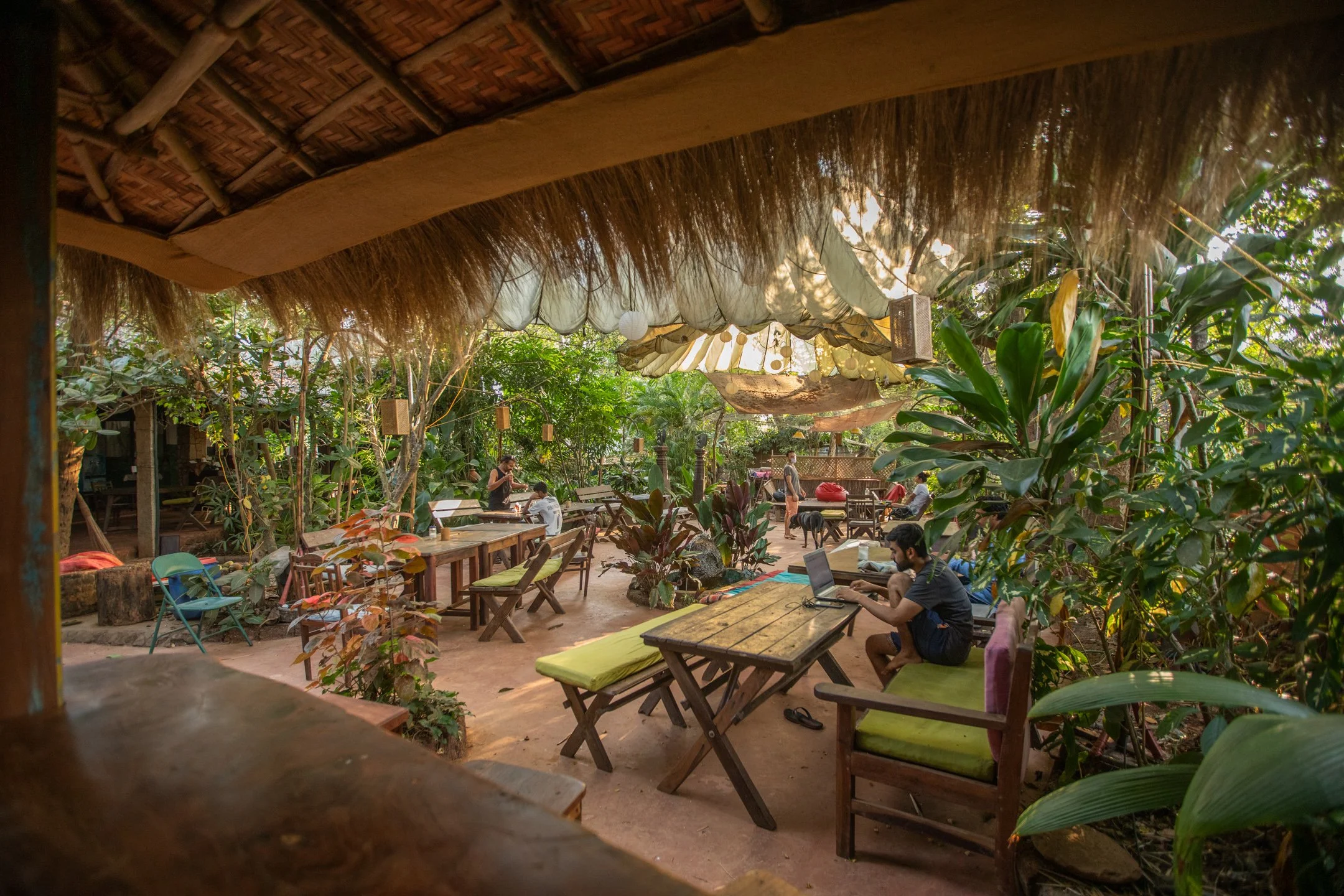 Outdoor café with wooden tables, chairs, and lush green plants under a thatched roof, with people working on laptops and socializing.