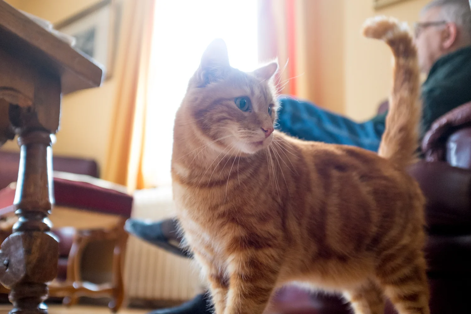 chats commentry-7.jpg