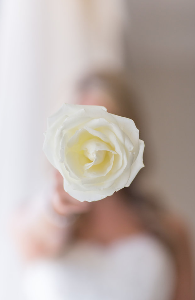 Screen Shot 2018-08-22 at 5.55.42 AM.png