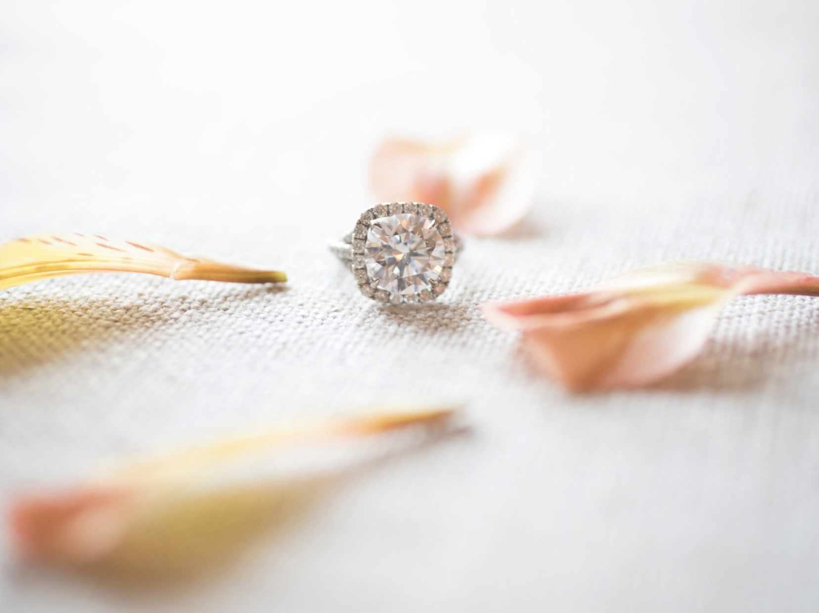 Screen Shot 2023-01-02 at 3.05.15 PM.png