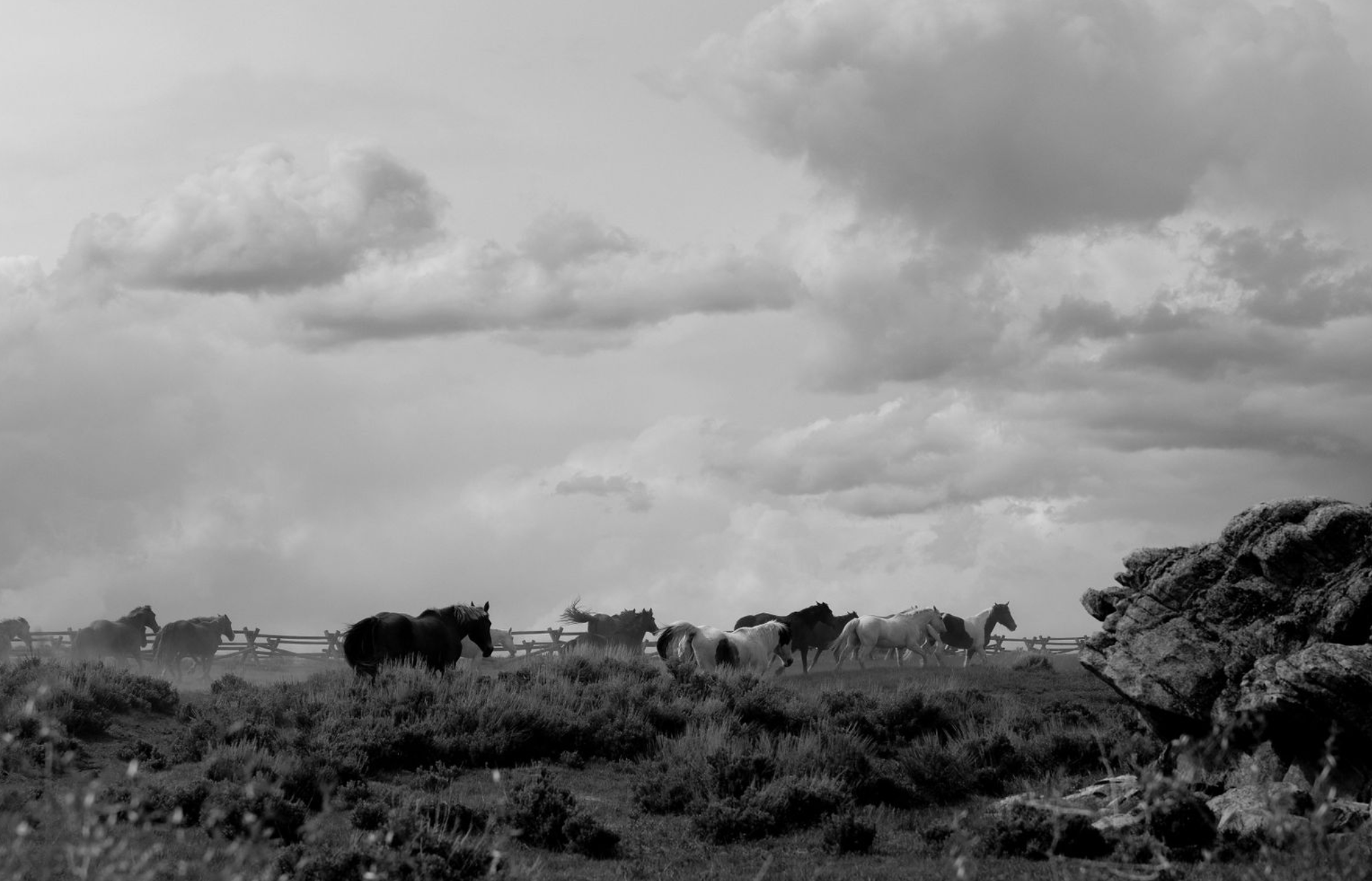 Screen Shot 2023-06-28 at 8.51.39 AM.png