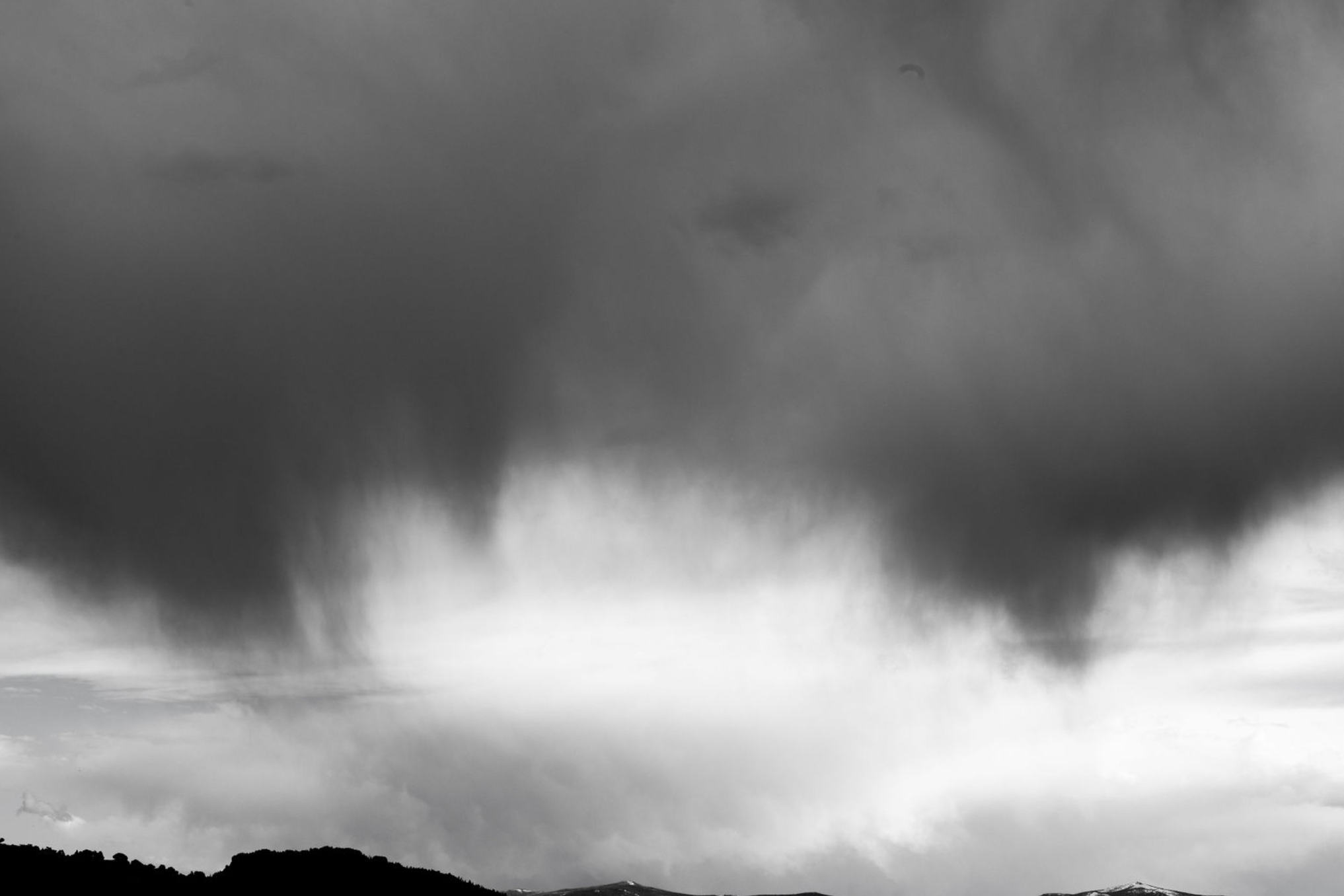 Screen Shot 2023-06-28 at 8.48.01 AM.png