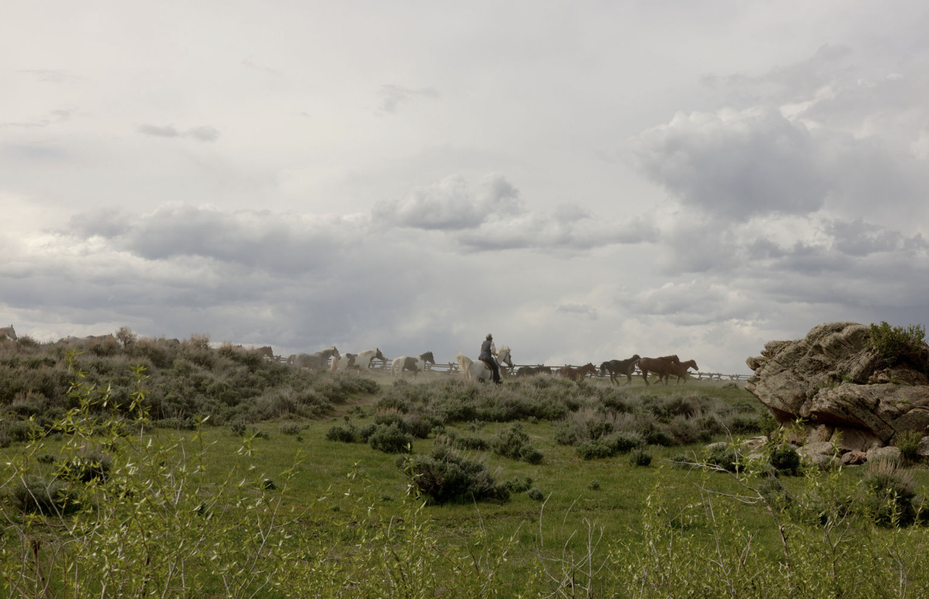 Screen Shot 2023-06-14 at 12.04.38 PM.png