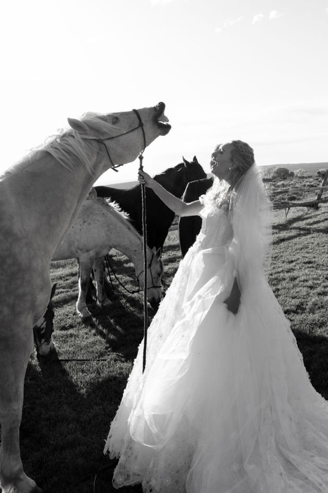 Screen Shot 2023-07-05 at 6.15.18 PM.png