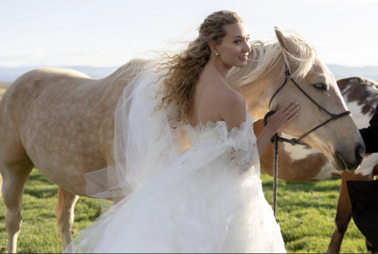 Screen Shot 2023-07-05 at 6.15.38 PM.png